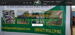 Mkulima Bingwa Dairy Farming Consultancy by Meridian Virtual Digital Marketing Agency