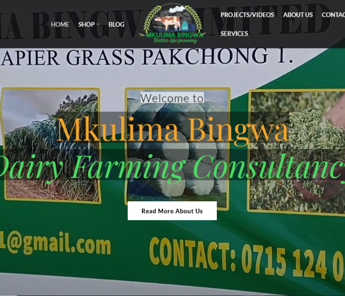 Mkulima Bingwa Dairy Farming Consultancy by Meridian Virtual Digital Marketing Agency